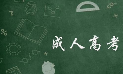 什么是成人高考？