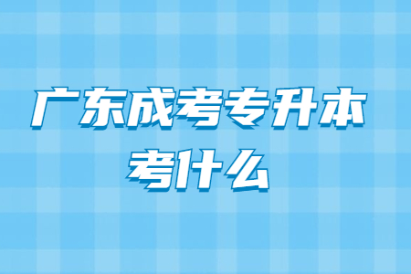 廣東成考專升本考什么?