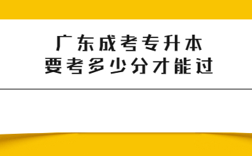 廣東成考專升本要考多少分才能過?