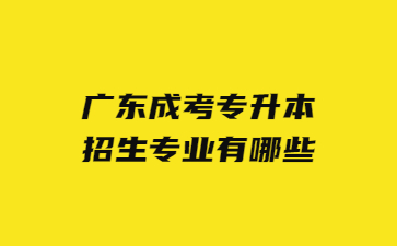 廣東成考專升本招生專業(yè)有哪些?