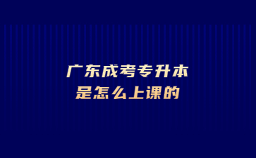 廣東成考專升本是怎么上課的?
