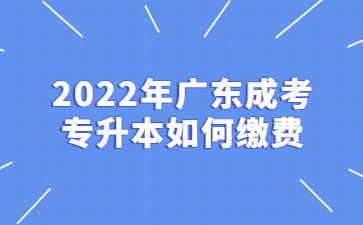 2022年廣東成考專升本如何繳費?