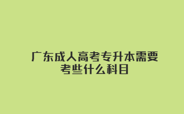 廣東成人高考專升本需要考些什么科目?
