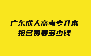 廣東成人高考專升本報名費要多少錢?